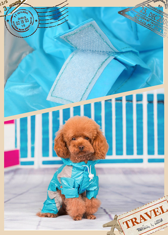 尼龍魔術(shù)貼 尼龍魔術(shù)貼